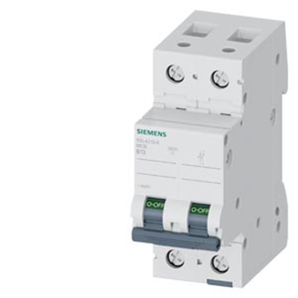 Siemens Leitungsschutzschalter 5SL4213-6 400V 2polig B13A