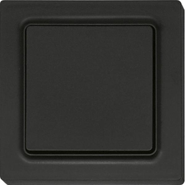 Eltako Funkschalter FS55E-am, batterie-und leitungslos matt