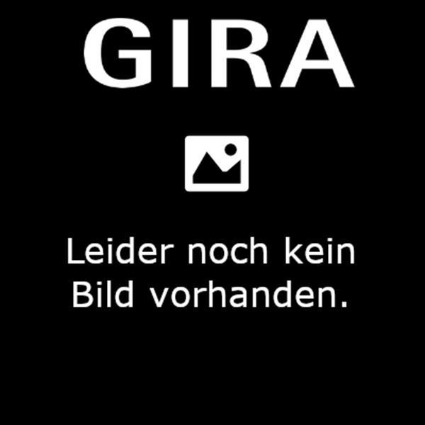 Gira Frontpl. Gira KeyIn Fingerprintmod. System 106 Edelstahl