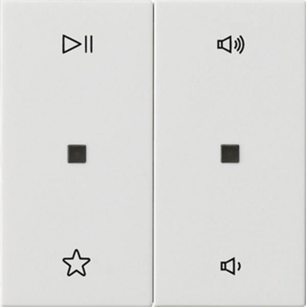 Gira Wippe 2f Audiostrg System 55 Reinweiß