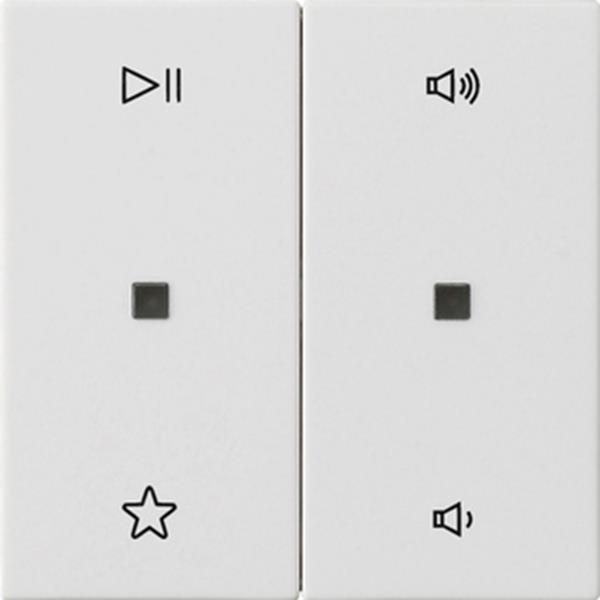 Gira Wippe 2f Audiostrg System 55 Reinweiß m