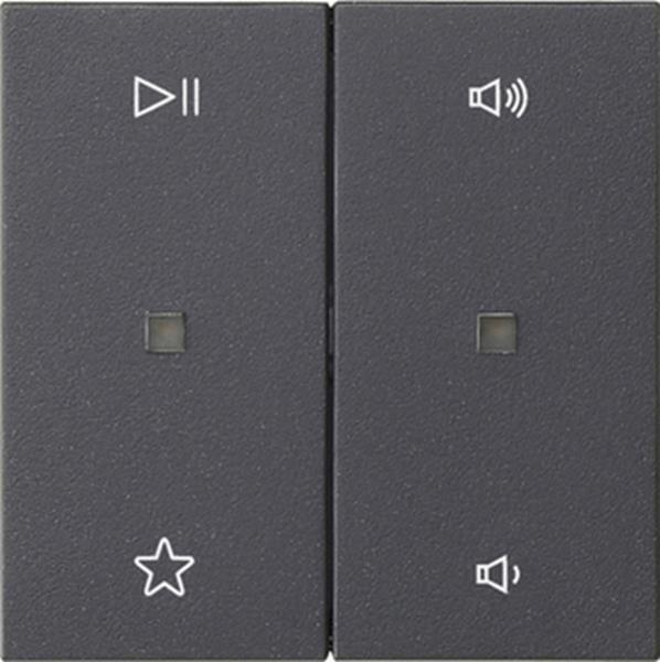 Gira Wippe 2f Audiostrg System 55 Anthrazit