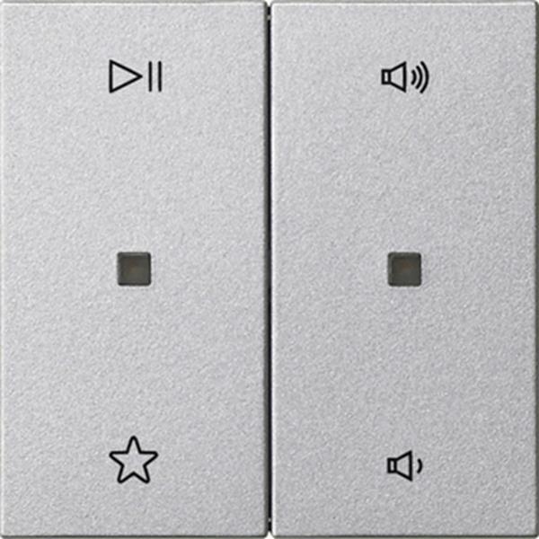 Gira Wippe 2f Audiostrg System 55 F Alu