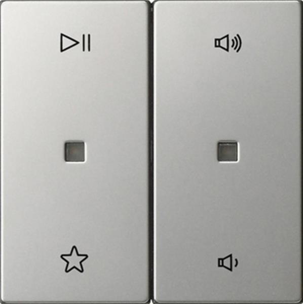 Wippe 2f Audiostrg System 55 Edelstahl