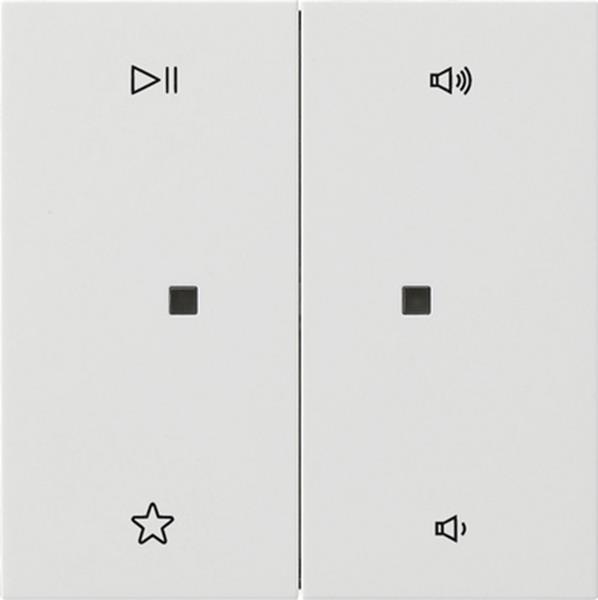 Wippe 2f Audiostrg Flächenschalter Reinweiß