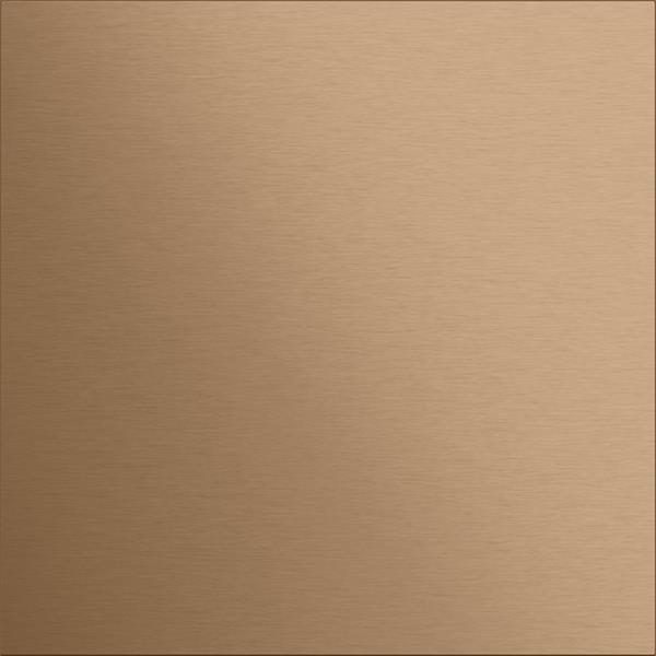 Gira Frontpl. Info-/Blindmodul System 106 Bronze