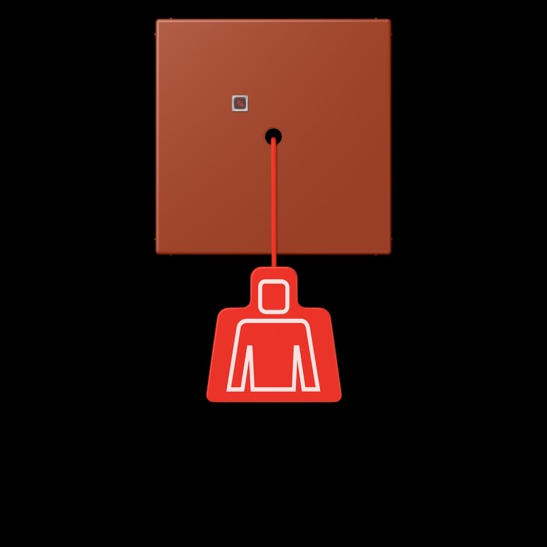 Notrufsystem Zugtaster, Serie LS, locre rouge