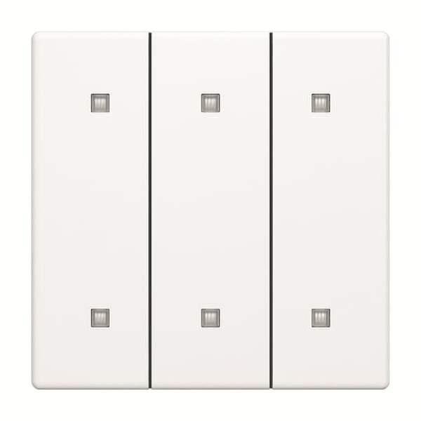 Busch-Jäger 2570-30-884 Wippe 3-fach Elekroniktaster