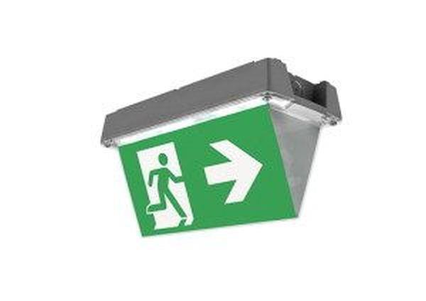 CEAG LED-Notleuchte Atlantic D 1-8h/D CGLine+